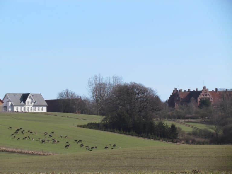 Jagt og dyr på Gisselfeld Kloster